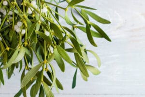 images 24