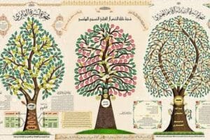 images 9