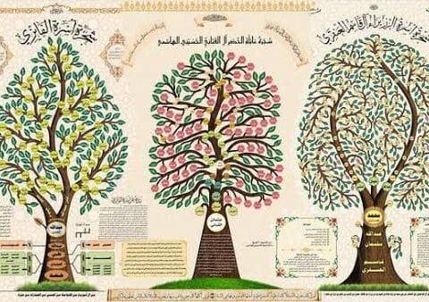جربها فوراً.. في ثوانٍ فقط تعرّف على أصلك ومعرفة شجرة العائلة وجدك الـ 90، طريقة مذهلة ستصدمك نتائجها فعلاً. 9 images 9