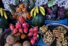 thumbs b c fe476247d054bf9fe6f79c8a1b606a67