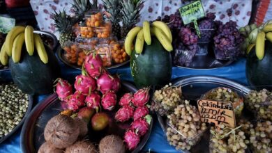 thumbs b c fe476247d054bf9fe6f79c8a1b606a67