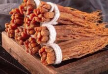 x6ArEcApZJ0FdU7tAEpDfJoWb0hugwHcOStNazvB