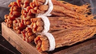 x6ArEcApZJ0FdU7tAEpDfJoWb0hugwHcOStNazvB