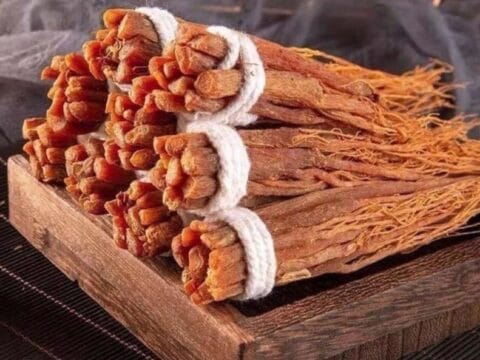 أعشاب للصحة الجنسية.. أشهر النباتات المفيدة للرجال 1 x6ArEcApZJ0FdU7tAEpDfJoWb0hugwHcOStNazvB