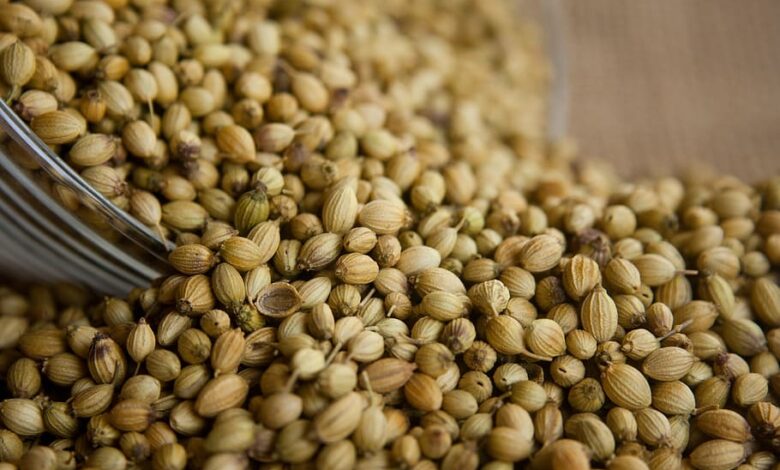 فوائد الكزبرة المطحونة للتسمين