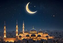 1647633837705202510061154225422