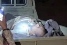 2c46014a 252c 4fa0 b64d c258fa7af76d