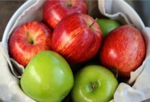 37227 20180919130635982