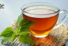 كوب شاي بالنعناع الطازج، وهو من أشهر الأعشاب الطبيعية لتهدئة المعدة والقولون