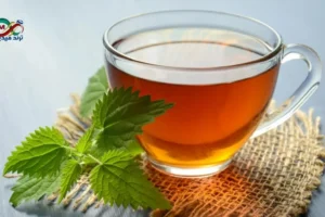 كوب شاي بالنعناع الطازج، وهو من أشهر الأعشاب الطبيعية لتهدئة المعدة والقولون