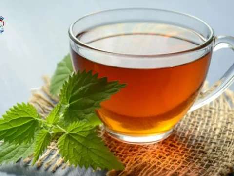 كوب شاي بالنعناع الطازج، وهو من أشهر الأعشاب الطبيعية لتهدئة المعدة والقولون
