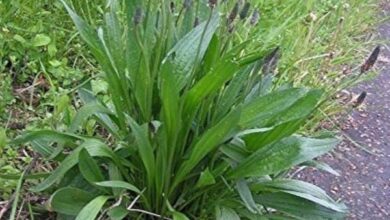 7azj3KuGQrmCGOYm5vp4SGSHyXLC0CIiptwiPhzG