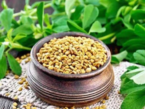 أعشاب صحراوية لخفض السكر: فوائدها العلمية الحقيقية وتحذيرات الاستخدام 1 images 1 2