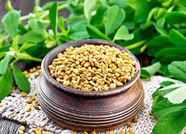 أعشاب صحراوية لخفض السكر: فوائدها العلمية الحقيقية وتحذيرات الاستخدام 1 images 1 2