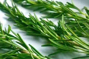 images 9 1