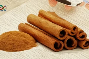 عود من القرفة، وهو نبات طبيعي قد يساعد في دعم توازن السكر