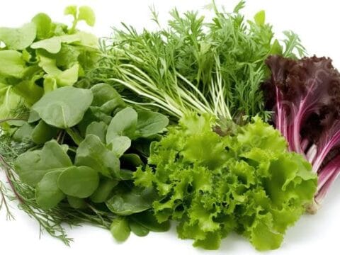 أفضل الخضروات الورقية لتقوية النظر والوقاية من أمراض العيون 1 images 11