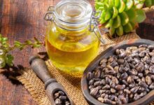 فوائد زيت الخروع للصحة والشعر والبشرة: دليل شامل مع الاستخدامات والتحذيرات 2 images 26