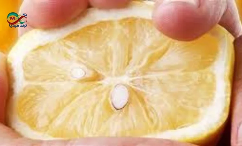 بذور الليمون طازجة بعد استخراجها مباشرة من ثمرة الليمون