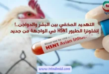 إنفلونزا الطيور H5N1