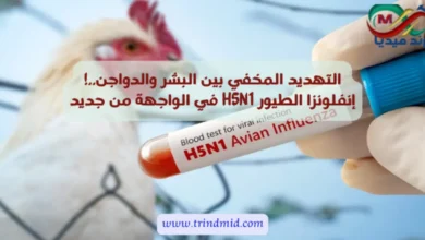 إنفلونزا الطيور H5N1