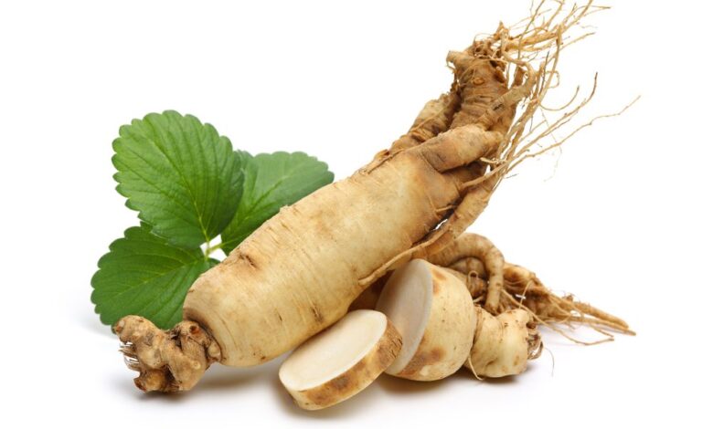 وصفة عشبية لتنشيط الذاكرة