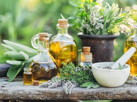 علاج جرثومة المعدة بالاعشاب: 5 وصفات طبيعية مجربة 8 علاج جرثومة المعدة بالاعشاب