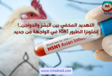 إنفلونزا الطيور H5N1