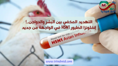 إنفلونزا الطيور H5N1