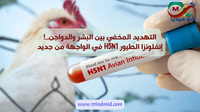 التهديد المخفي بين البشر والدواجن..! إنفلونزا الطيور H5N1 في الواجهة من جديد: هل هناك داعٍ حقيقي للقلق؟ 1 إنفلونزا الطيور H5N1