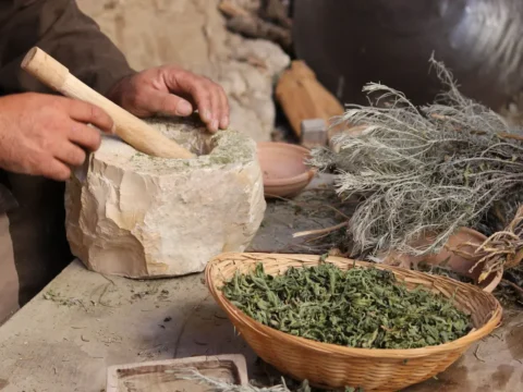 7 أعشاب لعلاج آلام المفاصل والظهر: خلطة طبيعية وسريعة! 2 أعشاب لعلاج آلام المفاصل