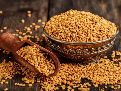 الحلبة والسكري.. توابل رخيصة قد تساعد على خفض السكر التراكمي وفق الدراسات 1 الحلبة والسكري