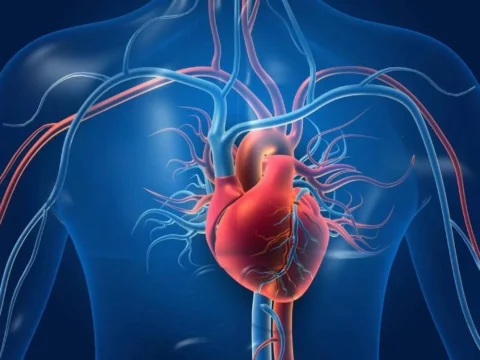 طفرة في علاج القلب.. دواء جديد على شكل حبة يومية يخفض الكوليسترول الضار 60% ويقي من الجلطات 4 علاج القلب