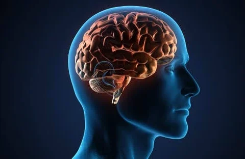 تقوية الذاكرة وصحة الدماغ: 7 طرق علمية لمقاومة النسيان 8 تقوية الذاكرة