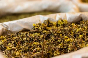 عشبة تخفض السكر