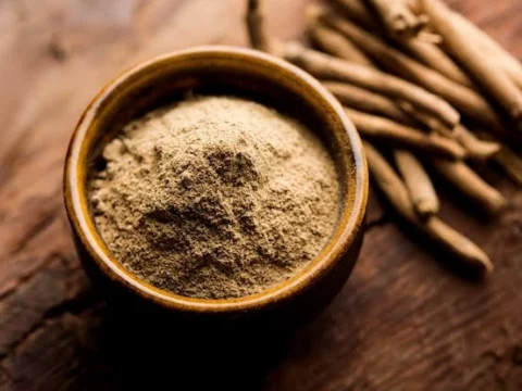عشبة برية رخيصة قد تساعد على الإمساك وتقوي الذاكرة 2 65768765675